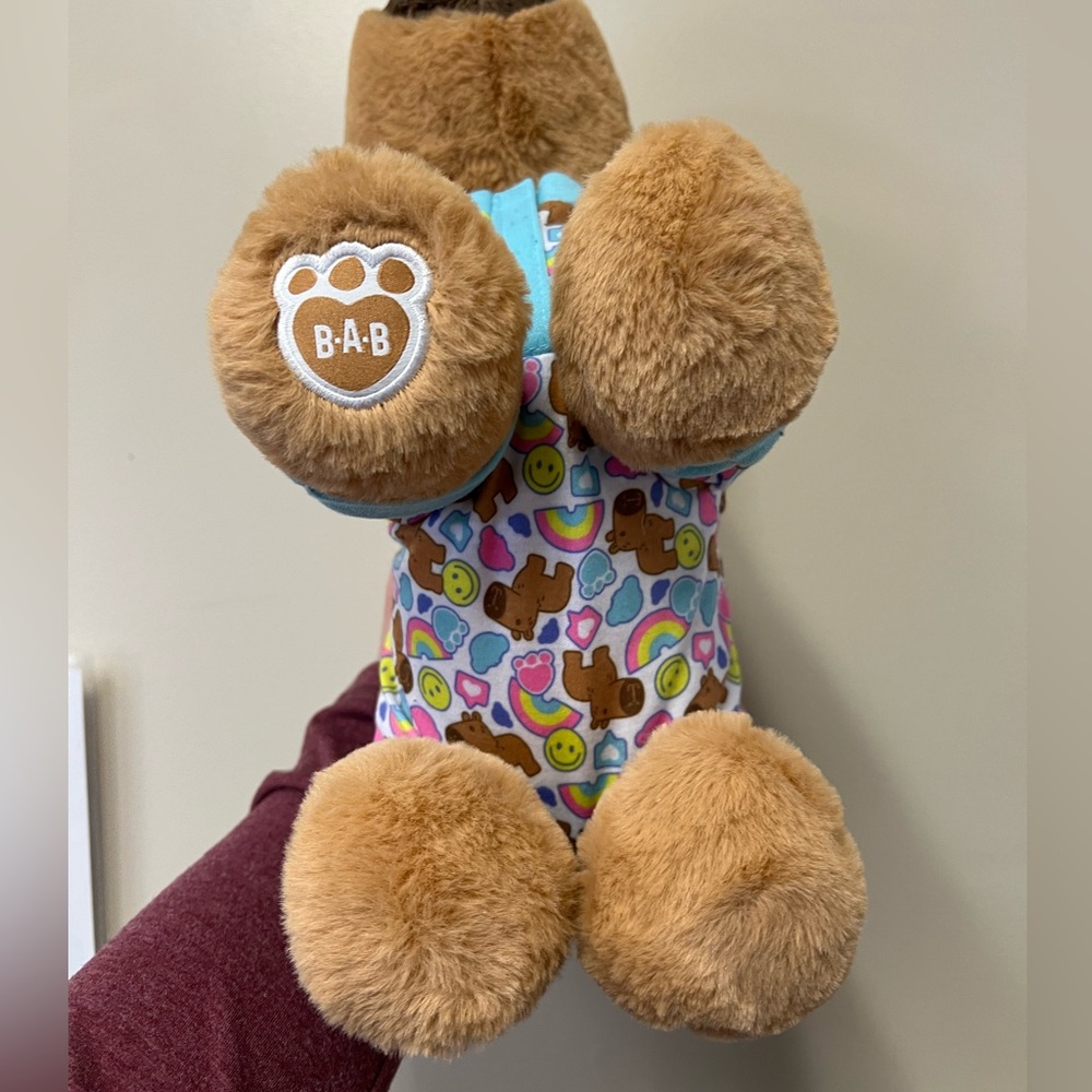 Build-A-Bear Capybara Set 🥰 - Picture 4 of 10